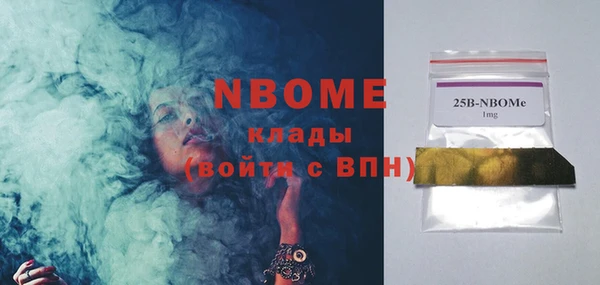 гашик Алексин