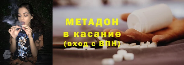 гашик Алексин