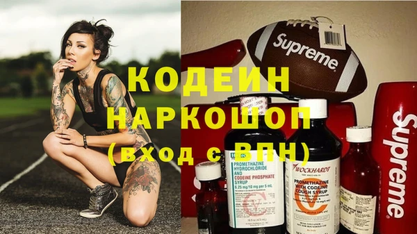 гашик Алексин