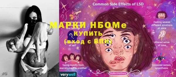 гашик Алексин