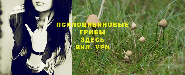 гидропоника Алзамай